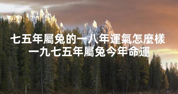 七五年屬兔的一八年運氣怎麼樣 一九七五年屬兔今年命運